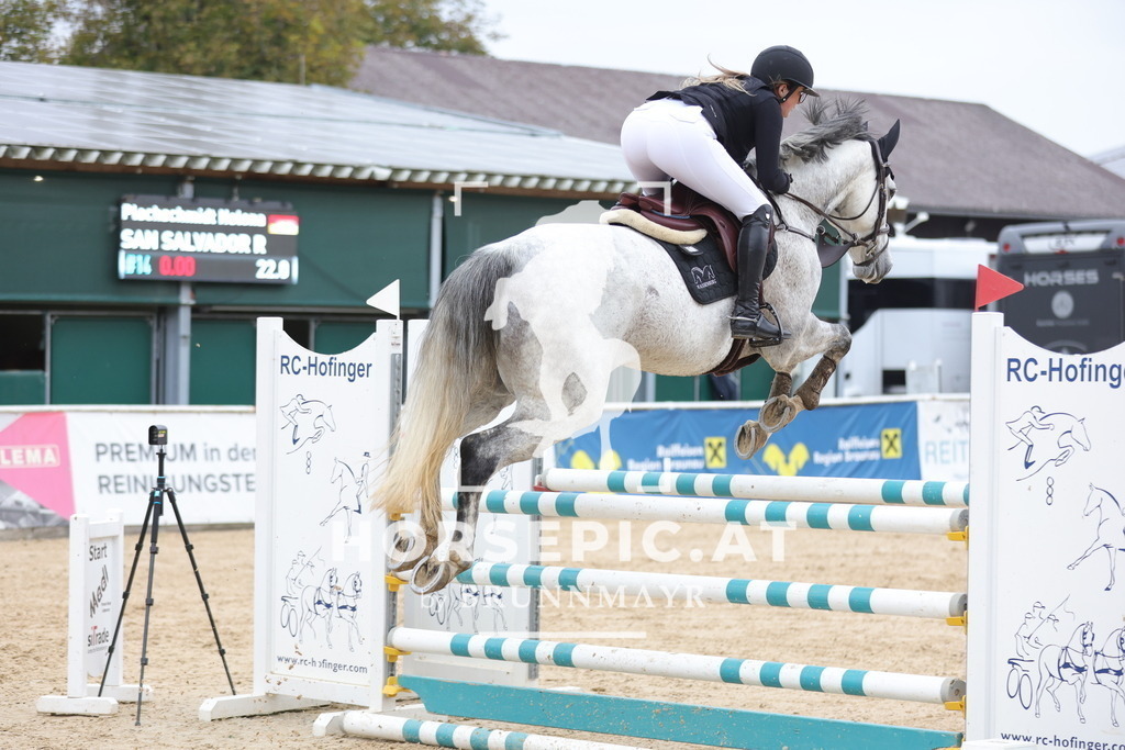 0P6A3904 | Willkommen bei Brunnmayr - Design & Fotografie – Ihrem Spezialisten für Reitturniere und Pferdeveranstaltungen in Oberösterreich, Salzburg und Bayern! Seit über 17 Jahren sind wir leidenschaftlich dabei.