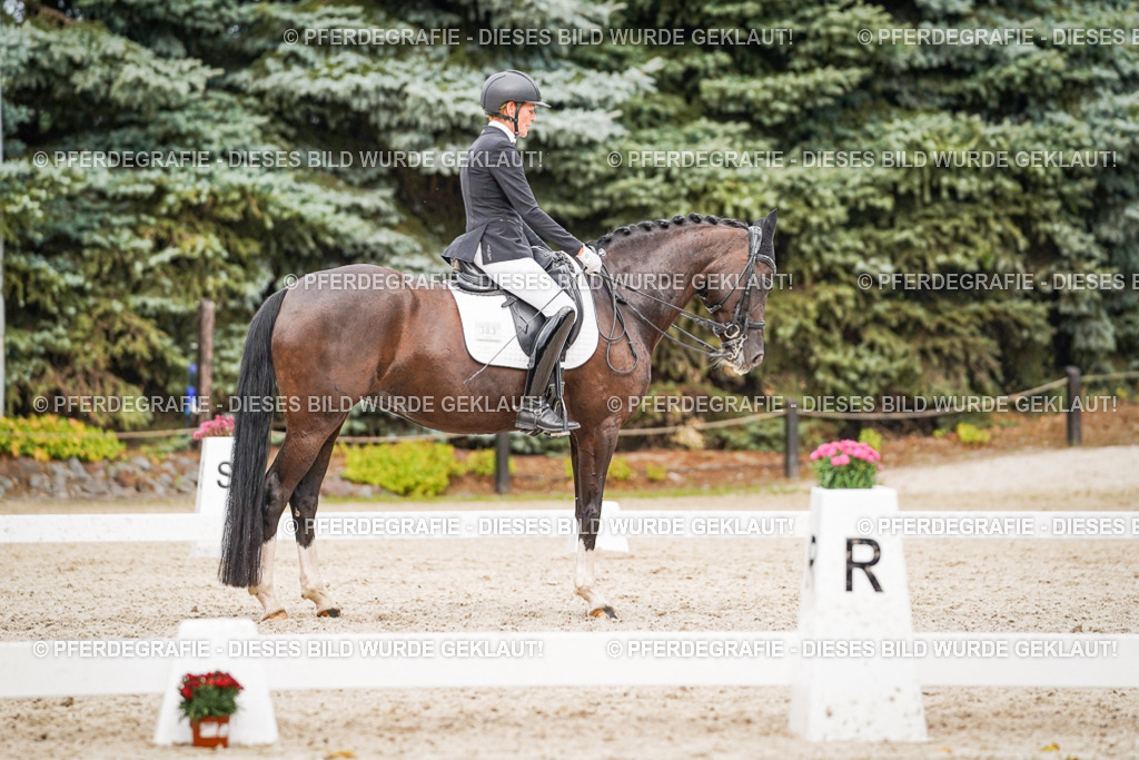 DSC07679 | Pferdegrafie