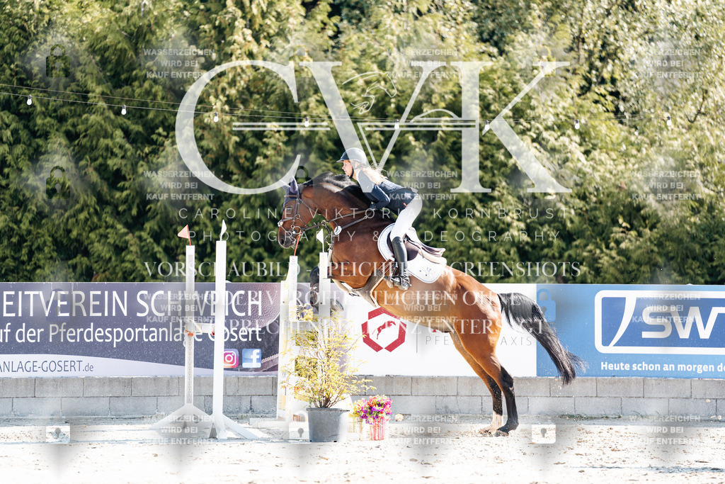 CK902182 | Turnierfotografie Pferdefotografie Trier Rheinland-Pfalz Pferdesport Reitsport Tierfotografie Sportfotografie Pferdevideo Pferdevideografie Equestrianvideography equestrianphotography  - Realisiert mit Pictrs.com