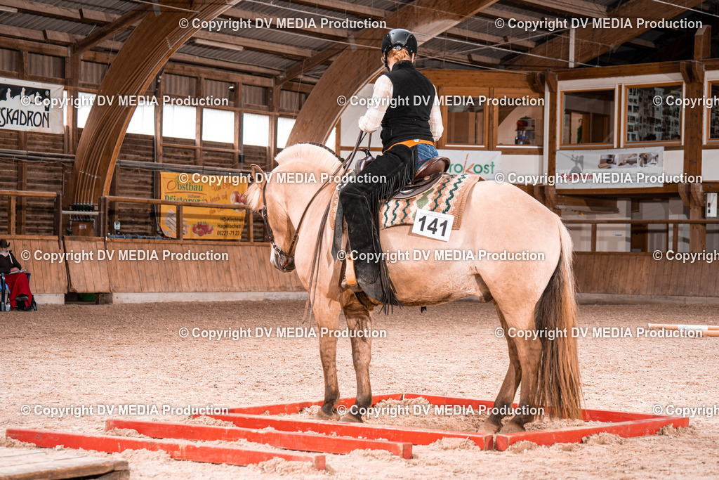 Heidelberg Tag 2-260 | dv-media-shop - Realisiert mit Pictrs.com