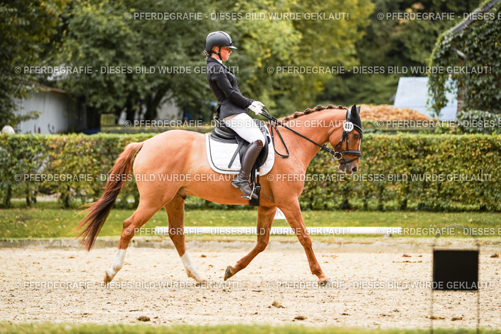 DSC08157 | Pferdegrafie