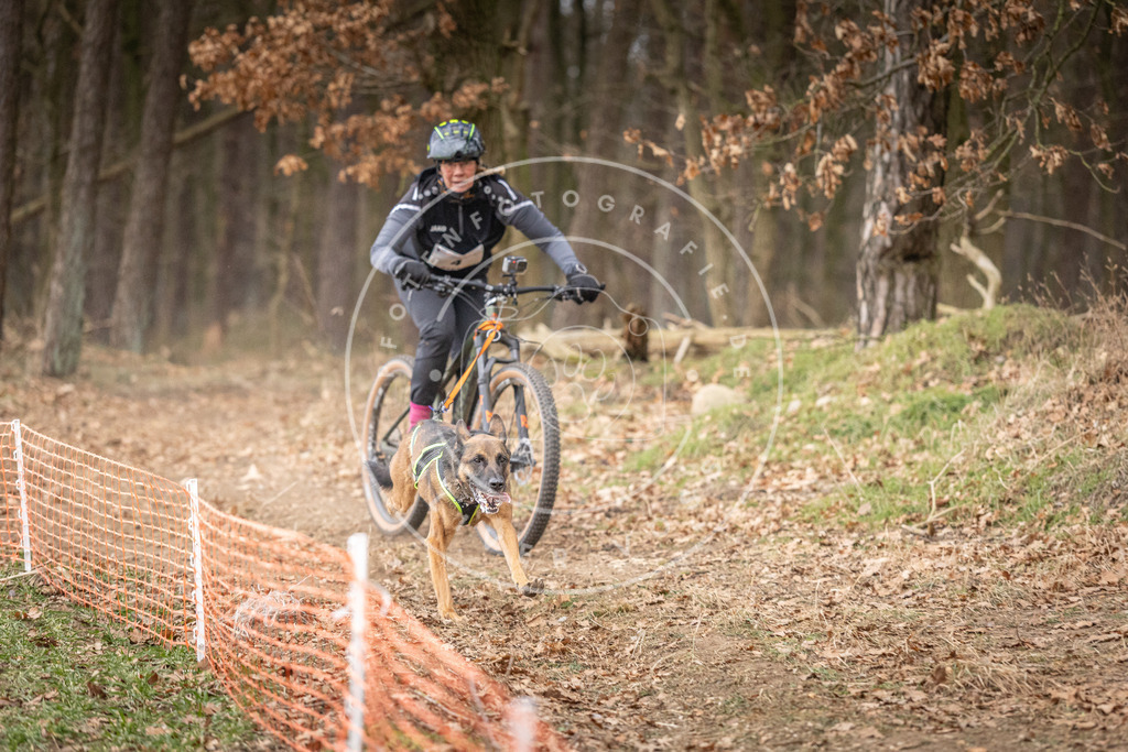 Pfotenfotografie_DV3A1791 | Hundefotografie, Tierfotograf, Pfotenfotografie, Fotoshooting Hund, Hunde Portrait, Hundesport, Hundeportraits, Heideshooting, Hunde, Sportfotograf, Hundefotograf, Turnierhundsport, THS,  - Realisiert mit Pictrs.com