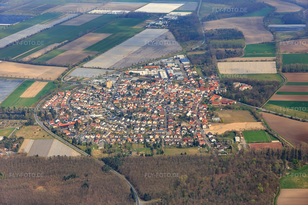 Luftbild: Ortsansicht von Süden im Ortsteil Hüttenfeld in Lampertheim im Bundesland Hessen in Deutschland. Foto: IMG_077035.jpg vom 12.04.2015 durch Werner Riehm/FLY-FOTO.de