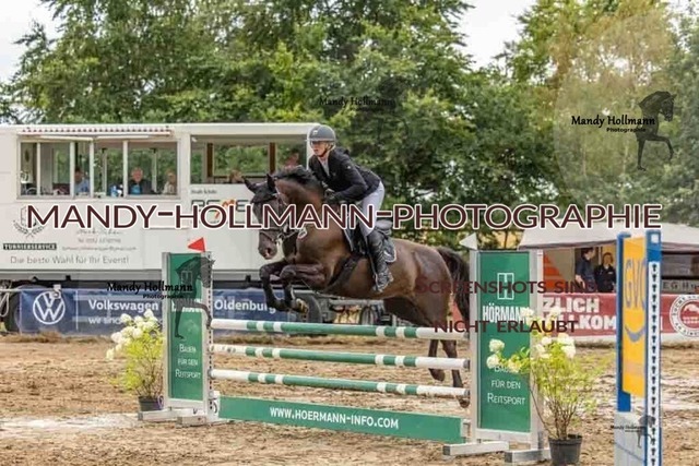 26-8-7 SPR L-392 | mandyhollmannphotographie