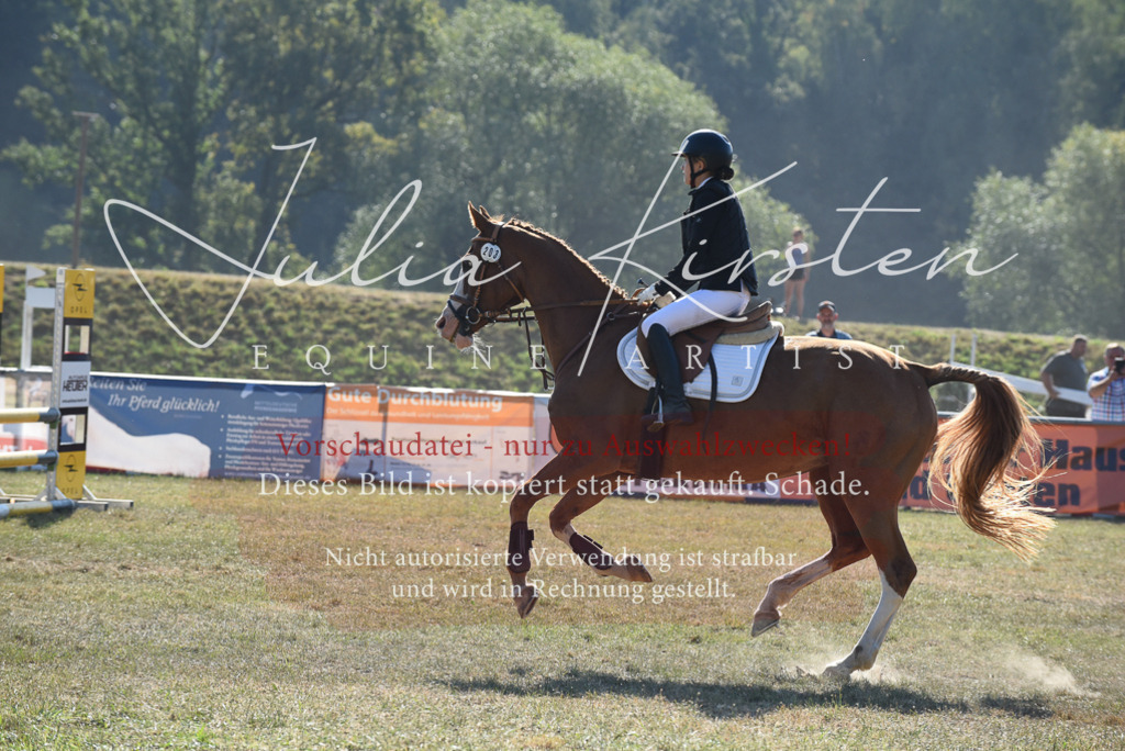DSC_5958 | Pferde- und Turnierfotografie in Westsachsen. Pferdeportraits, Auftragszeichnungen und intuitive Kunst.