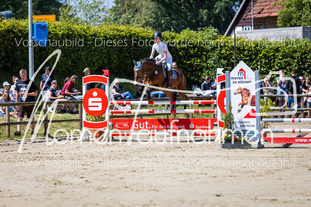 Donop24-Stil-L-016 | MomenTaufnahmen Pferdesportfotos