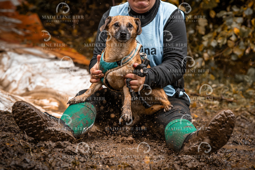 madeleinebirr-fotografie2025.campcanis.sa.13-14Uhr-241 | hundefotografie-birr