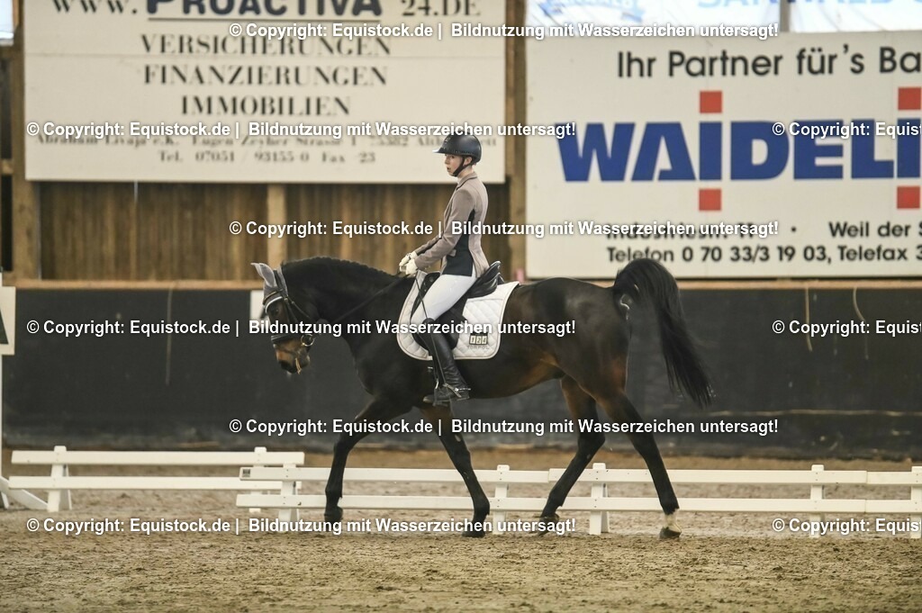 20231029_05_Dressur-A_0001 | Foto: Thomas Hartig