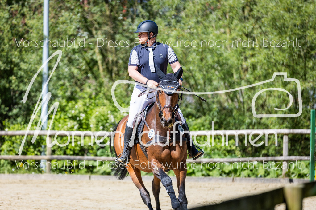 Donop24-M-Spr-023 | MomenTaufnahmen Pferdesportfotos