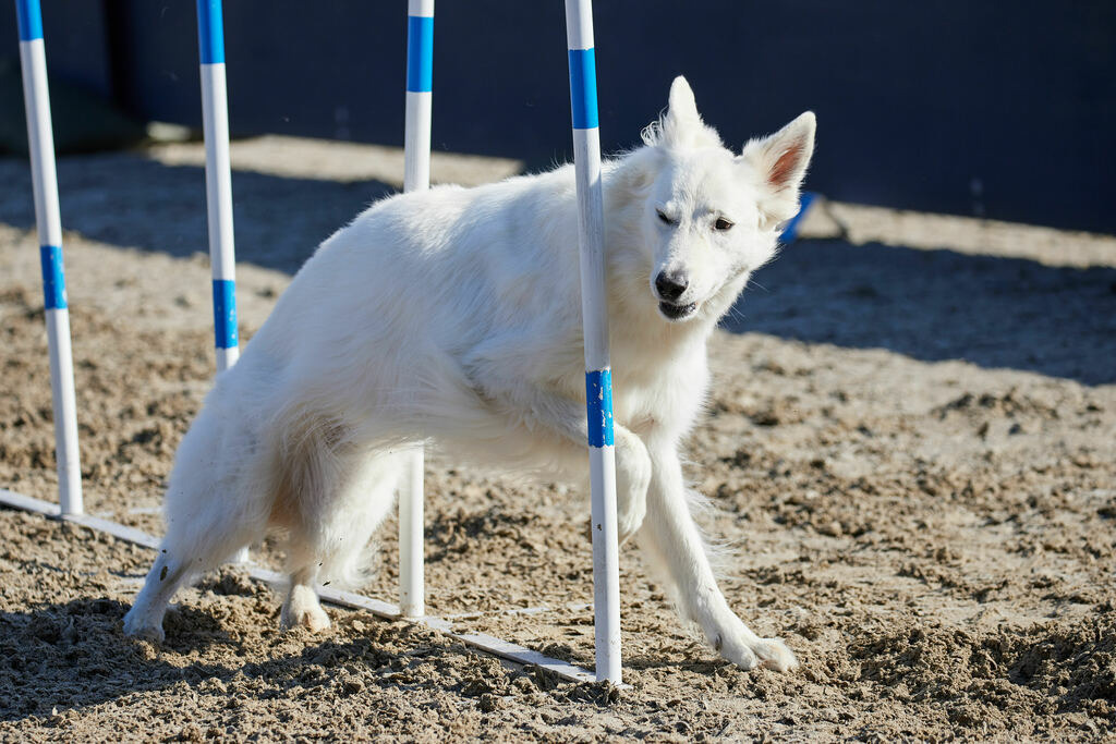 580A0120 | Peter Fridle Fotografie - Realisiert mit Pictrs.com