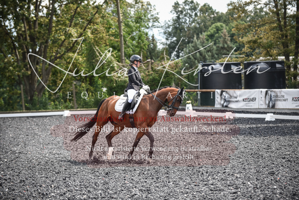 DSC_4754 | Pferde- und Turnierfotografie in Westsachsen. Pferdeportraits, Auftragszeichnungen und intuitive Kunst.