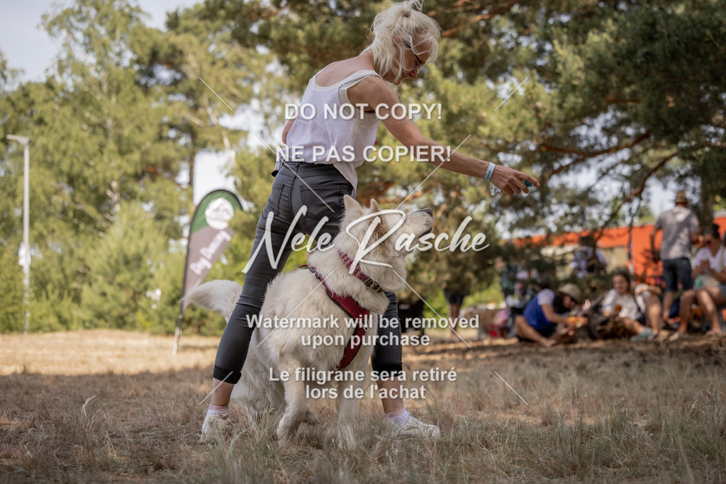 nelerasche_soDD2_182 | nelerasche