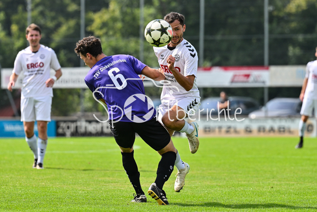VfL Ecknach - TSV Dinkelscherben | Dinkelscherben 6 / Ecknach 10