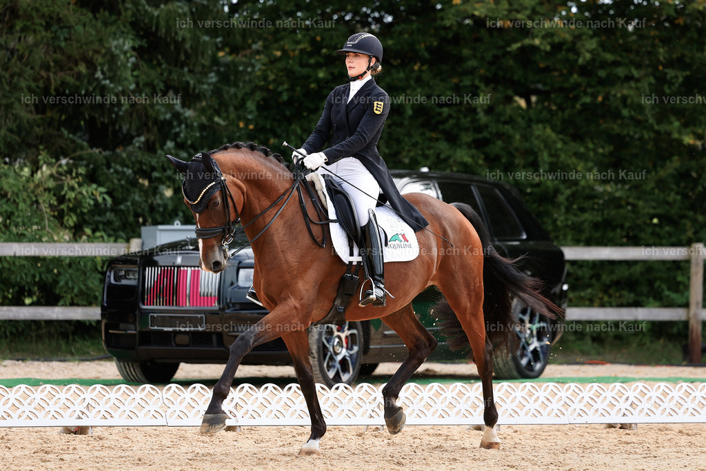 11-003-Dressur S___-StoibPH-1053 | working equitationturnier fotograf videograf stoibphotography marixx film working equitation deutschland reitsport turnierfotografie eventfotografie equestrian events
