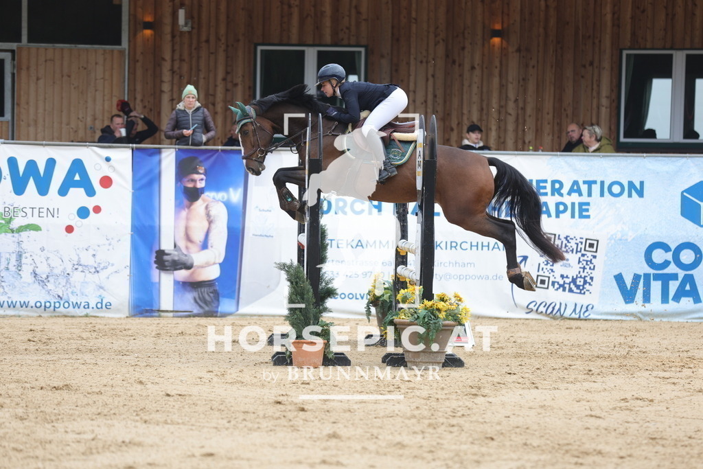 0P6A2747 | Willkommen bei Brunnmayr - Design & Fotografie – Ihrem Spezialisten für Reitturniere und Pferdeveranstaltungen in Oberösterreich, Salzburg und Bayern! Seit über 17 Jahren sind wir leidenschaftlich dabei.