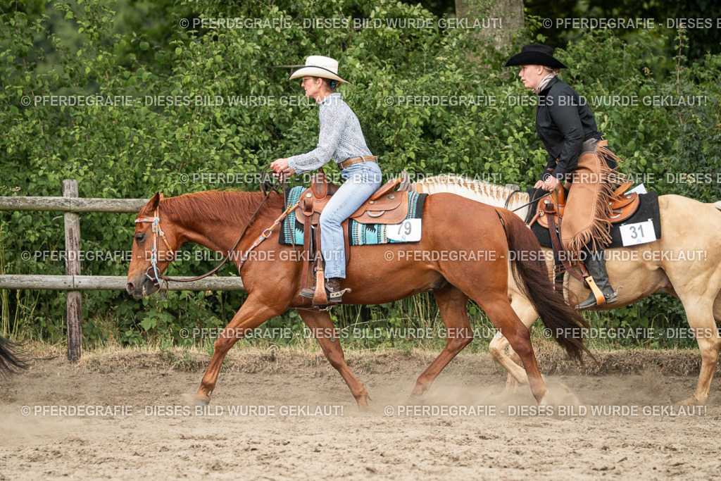 DSC03198 | Pferdegrafie