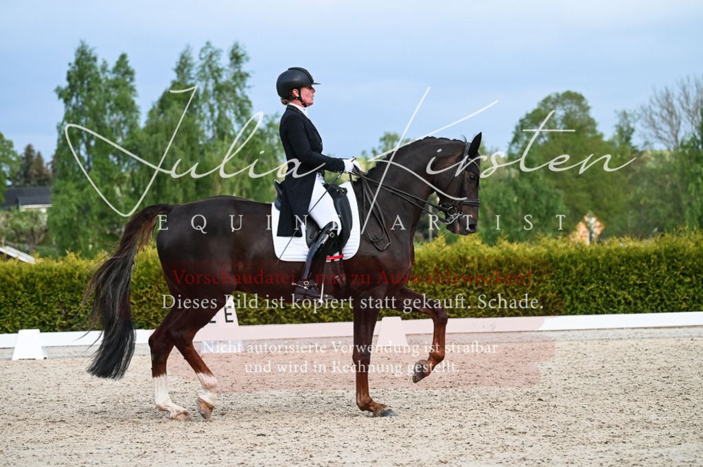 20230513_JK-Röhrsdorf-13-300 | Pferde- und Turnierfotografie in Westsachsen. Pferdeportraits, Auftragszeichnungen und intuitive Kunst.
