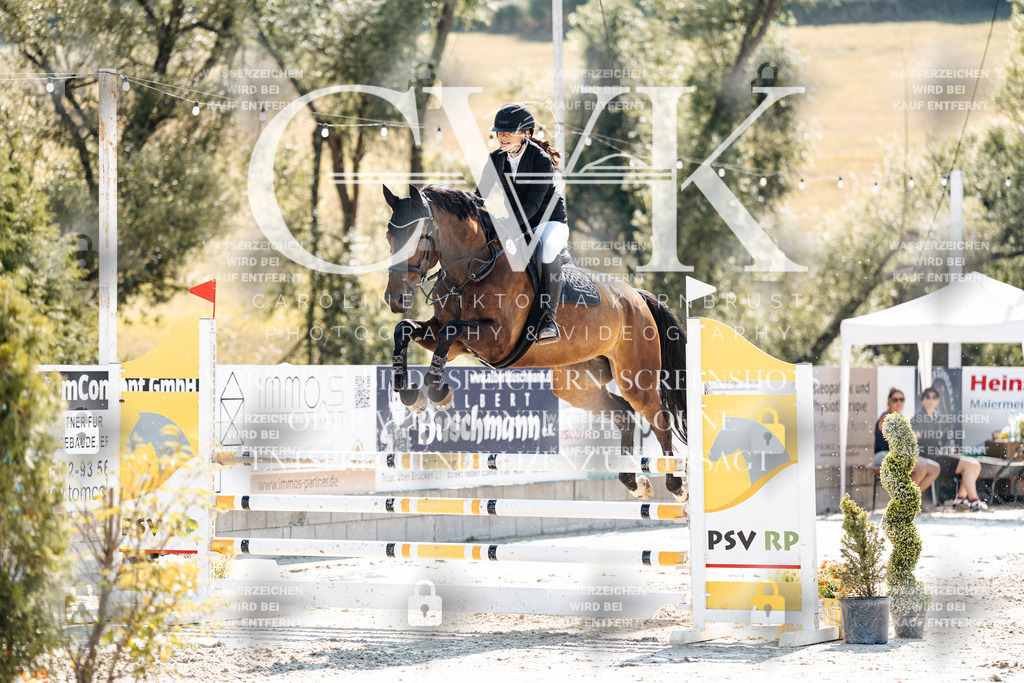 CK908280 | Turnierfotografie Pferdefotografie Trier Rheinland-Pfalz Pferdesport Reitsport Tierfotografie Sportfotografie Pferdevideo Pferdevideografie Equestrianvideography equestrianphotography  - Realisiert mit Pictrs.com