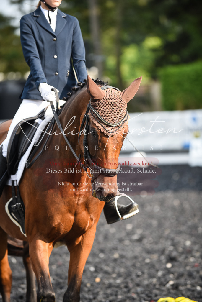 DSC_3354 | Pferde- und Turnierfotografie in Westsachsen. Pferdeportraits, Auftragszeichnungen und intuitive Kunst.