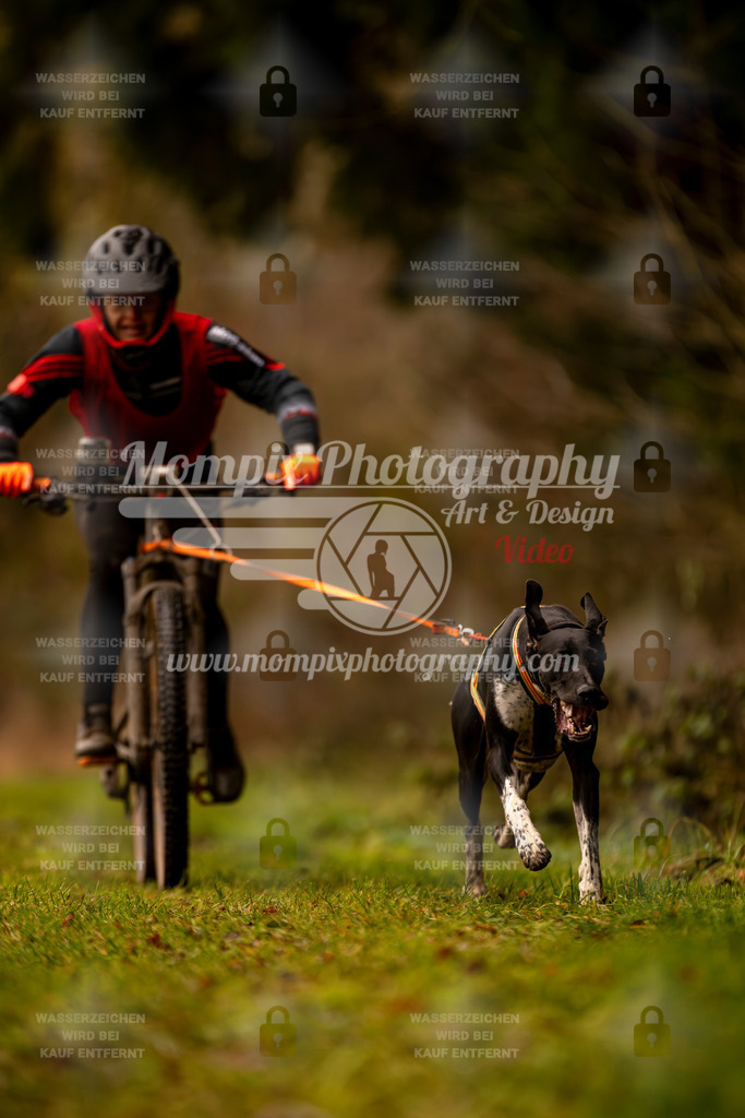 MompixPhotography_2SSTSSBW_2025_SO_Bike-29 | PayLife