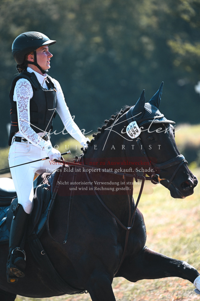DSC_8350 | Pferde- und Turnierfotografie in Westsachsen. Pferdeportraits, Auftragszeichnungen und intuitive Kunst.