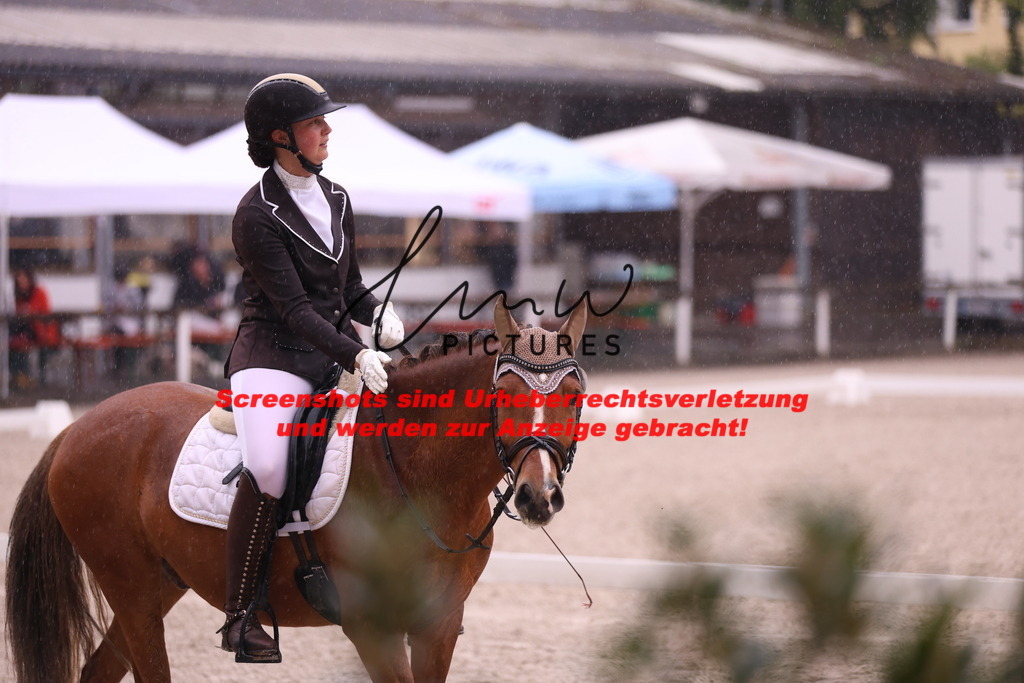 A40A7440 | lmwpictures - Realisiert mit Pictrs.com