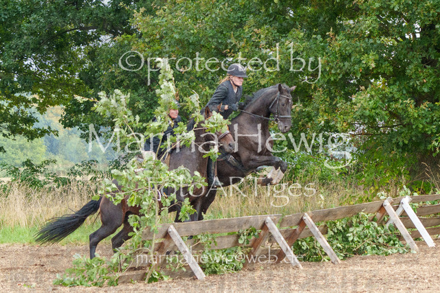 Jagd Perdoel_MarinaHewigMCH04342 | Fotografie, FotoArt, PferdesportArt, Pferdesportfotografie, Landschaftsfotografie, Reisefotografie, Reise, Pferde - Realisiert mit Pictrs.com