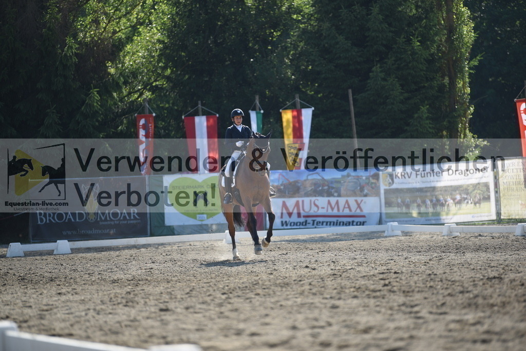 DSC_2546 | equestrian-live-com