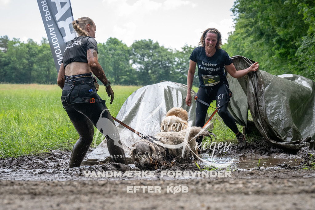 1115_ZZ92154 | kk-dogfotos