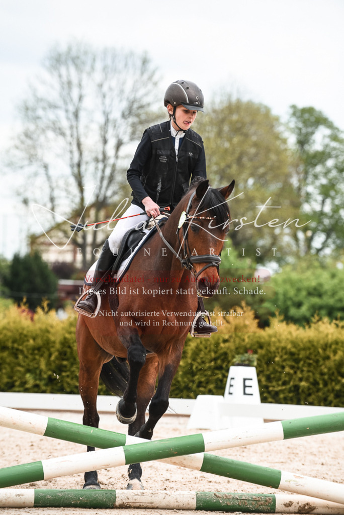 20230518_JK-Röhrsdorf-10-698 | Pferde- und Turnierfotografie in Westsachsen. Pferdeportraits, Auftragszeichnungen und intuitive Kunst.