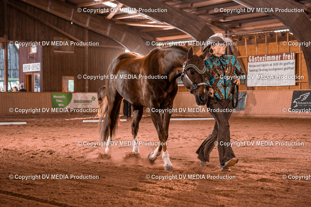 NE100105 | dv-media-shop - Realisiert mit Pictrs.com