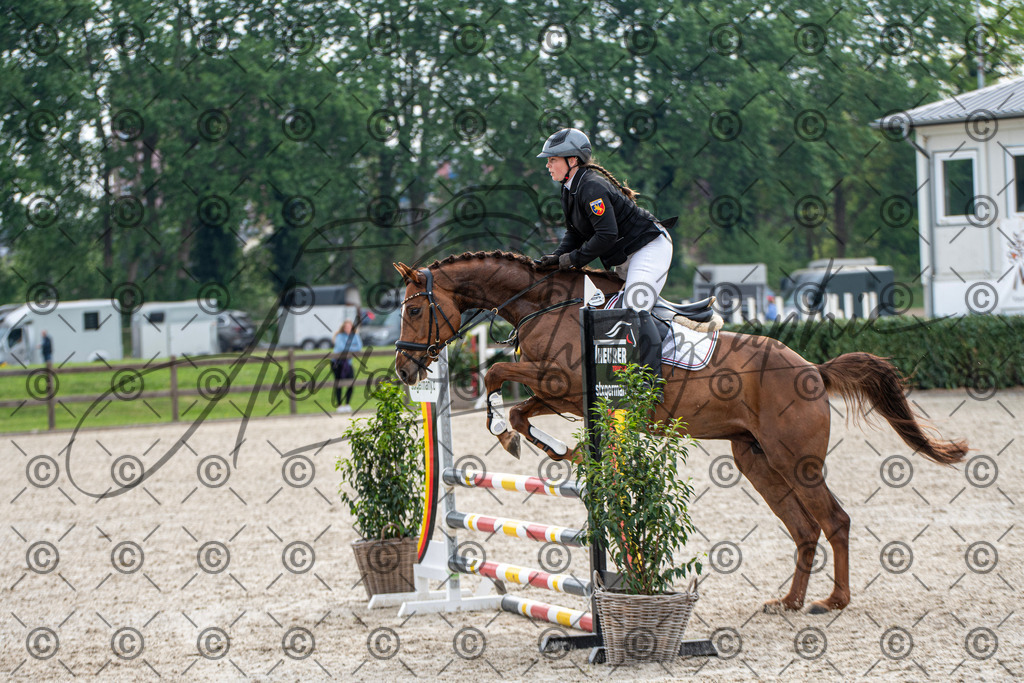 KPT_2095 | andre_photographic