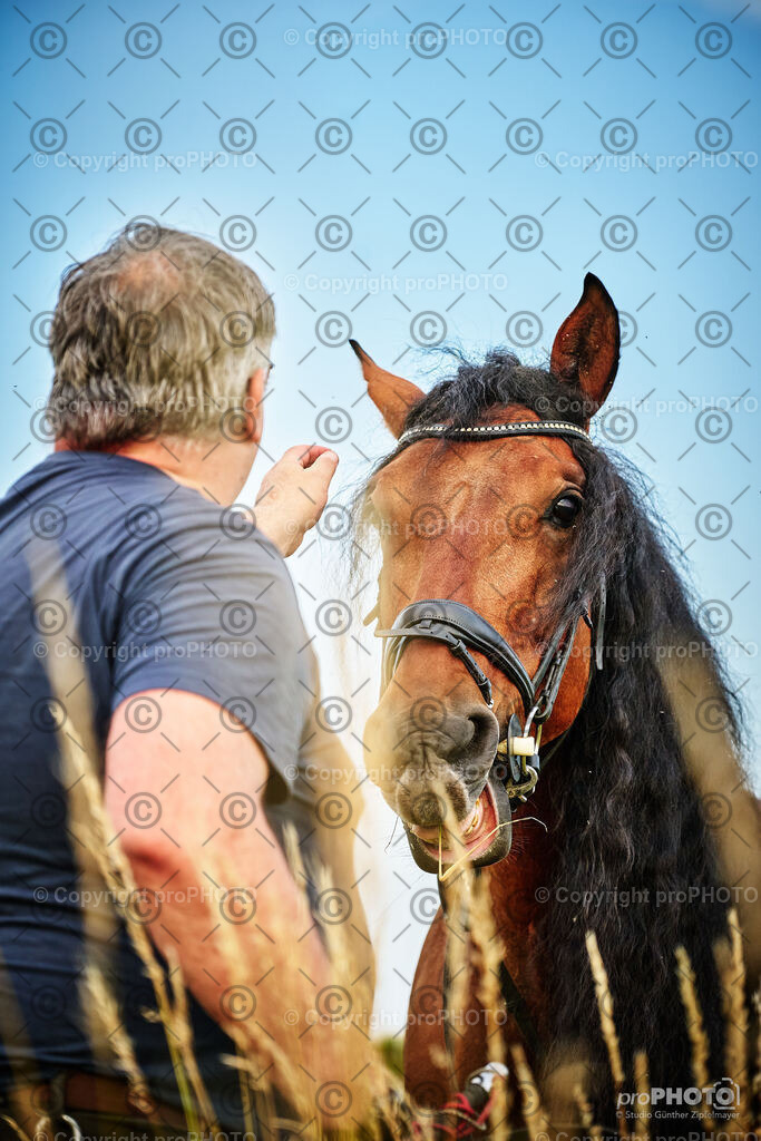 107_202406_Niki-Herodes_NZ9_9865 | proPHOTO - Realisiert mit Pictrs.com