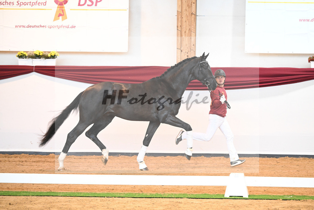 Kat-Nr. 22 v. Don Juan de Hus_Mueller_66220666 | hf-fotografie - Realisiert mit Pictrs.com