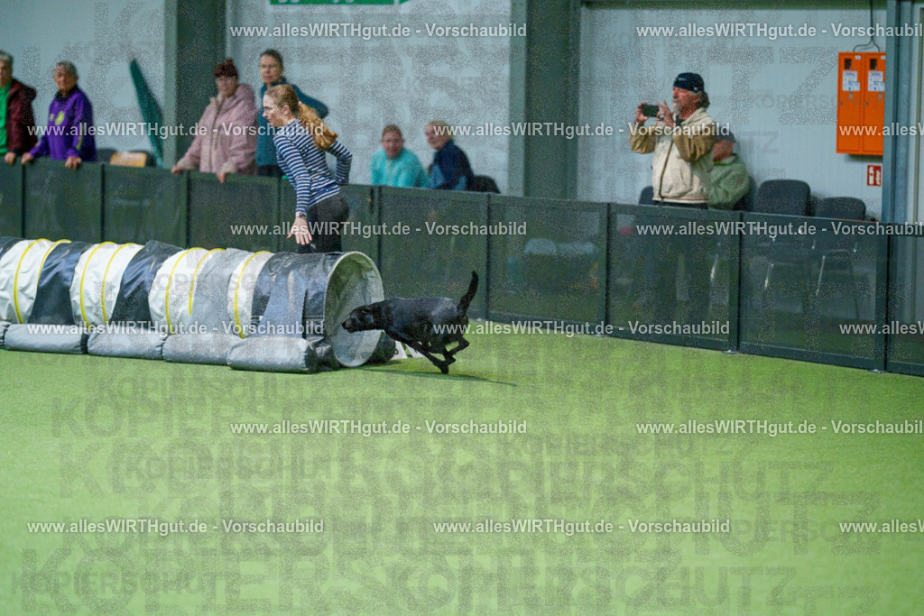 @allesWIRTHgut_Tierfotografie - www.allesWIRTHgut.de - 2604250811-7R505680 | Professionelle Tierfotografie in Mönchengladbach von Daniel Wirth (allesWIRTHgut). Liebevolle & natürliche Bilder von Hunden & Katzen für unvergessliche Erinnerungen.