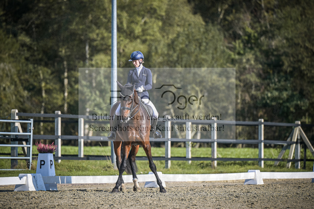 DOS_B819 | Entdecke hochwertige Reitturnierfotos von Foto Oger. Professionell, emotional und authentisch – jetzt Lieblingsmomente im Shop bestellen.Deutschlandweite Turnierfotografie. - Realisiert mit Pictrs.com