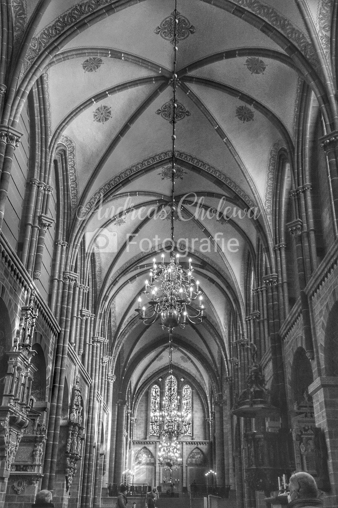 DSC07828-01 | Der Onlineshop für malerische Fotografien aus dem Landkreis Vechta✅ Premium Druck auf Leinwand✅ Acryl✅ oder Alu-Dibond✅➤Jetzt Bestellen! - Realisiert mit Pictrs.com