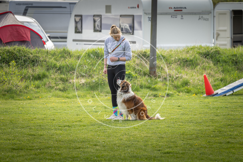 Pfotenfotografie_DV3A4960 | Hundefotografie, Tierfotograf, Pfotenfotografie, Fotoshooting Hund, Hunde Portrait, Hundesport, Hundeportraits, Heideshooting, Hunde, Sportfotograf, Hundefotograf, Turnierhundsport, THS,  - Realisiert mit Pictrs.com