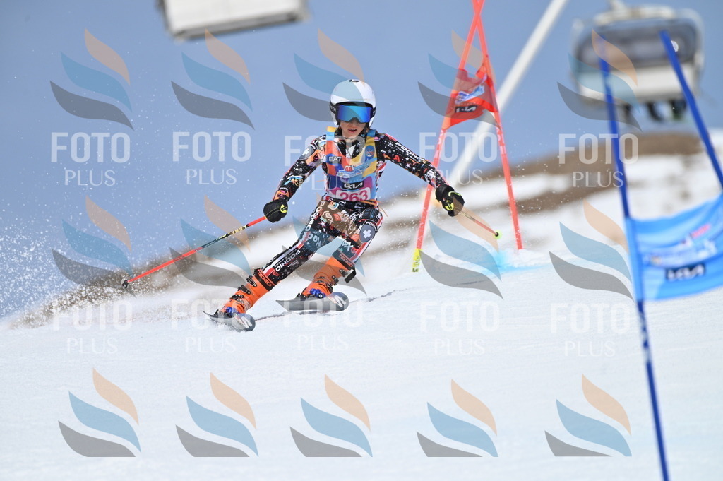 BGV_2123 | holidayphoto