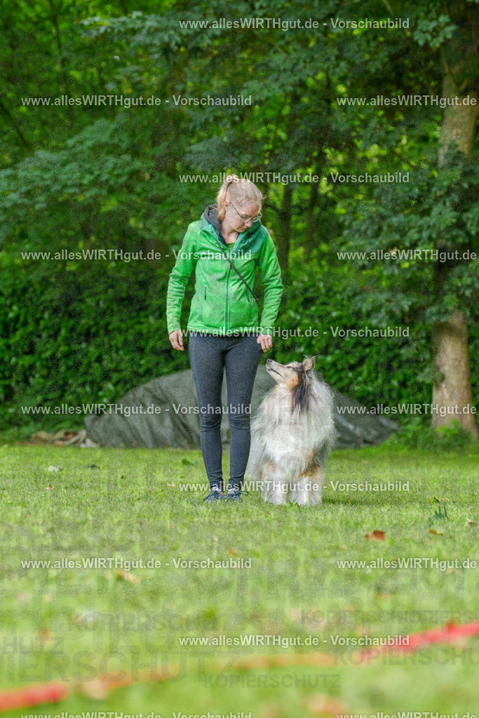 @allesWIRTHgut_Tierfotografie - www.allesWIRTHgut.de - 083259-7R506323 | Professionelle Tierfotografie in Mönchengladbach von Daniel Wirth (allesWIRTHgut). Liebevolle & natürliche Bilder von Hunden & Katzen für unvergessliche Erinnerungen.