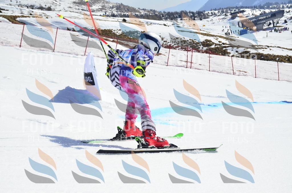 _ELE0420 | holidayphoto