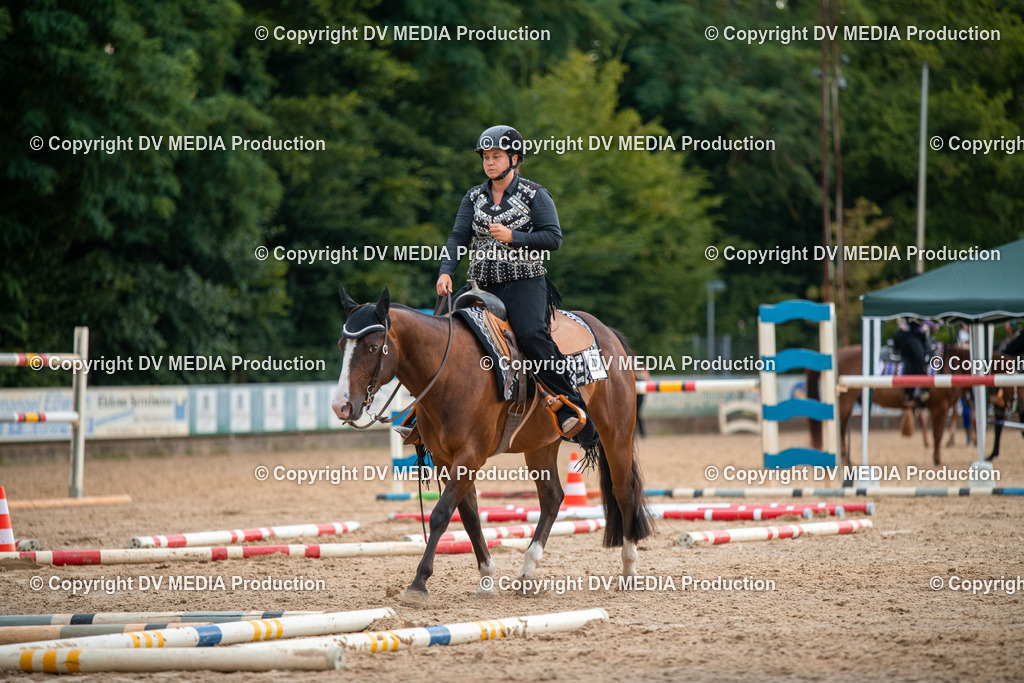 ZS2_7444 | dv-media-shop - Realisiert mit Pictrs.com