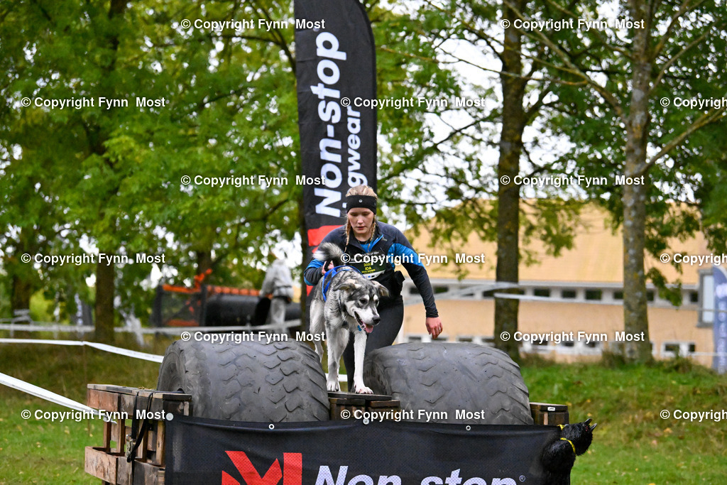 DSC_3683 | Hallo und herzlich Willkommen auf meiner Shop-Seite Fynn Most.

Ich wünsche Dir viel Spaß beim stöbern durch die Bilder, wenn Du Fragen hast oder Bilder vermisst, kannst du mir gerne eine Nachricht schreiben. - Realisiert mit Pictrs.com