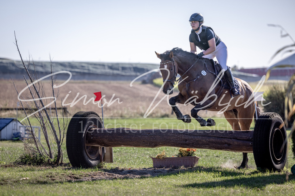 20260906-_3LI1689 | Tierfotografie Pferde, Hunde, Katzen, Haustiere.
Turnierfotografie Reitturniere, Reiten, Springreiten, Dressur in Hanau, dem Main-Kinzig-Kreis und dem Rhein-Main- Gebiet um Frankfurt