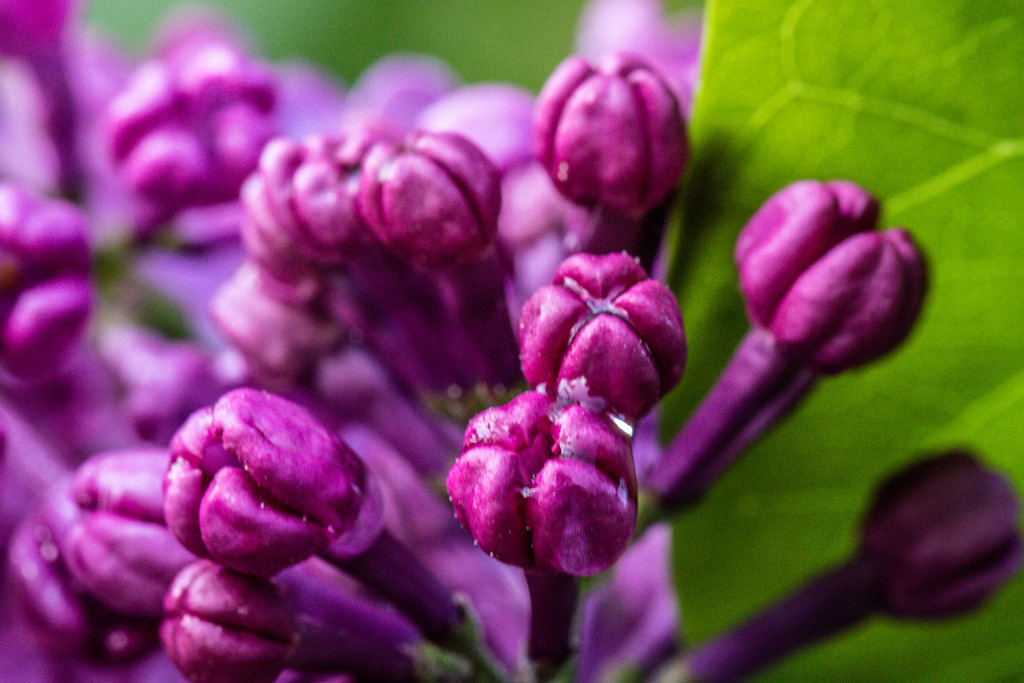 IMG_2390 | ehrlichefotos - Realisiert mit Pictrs.com