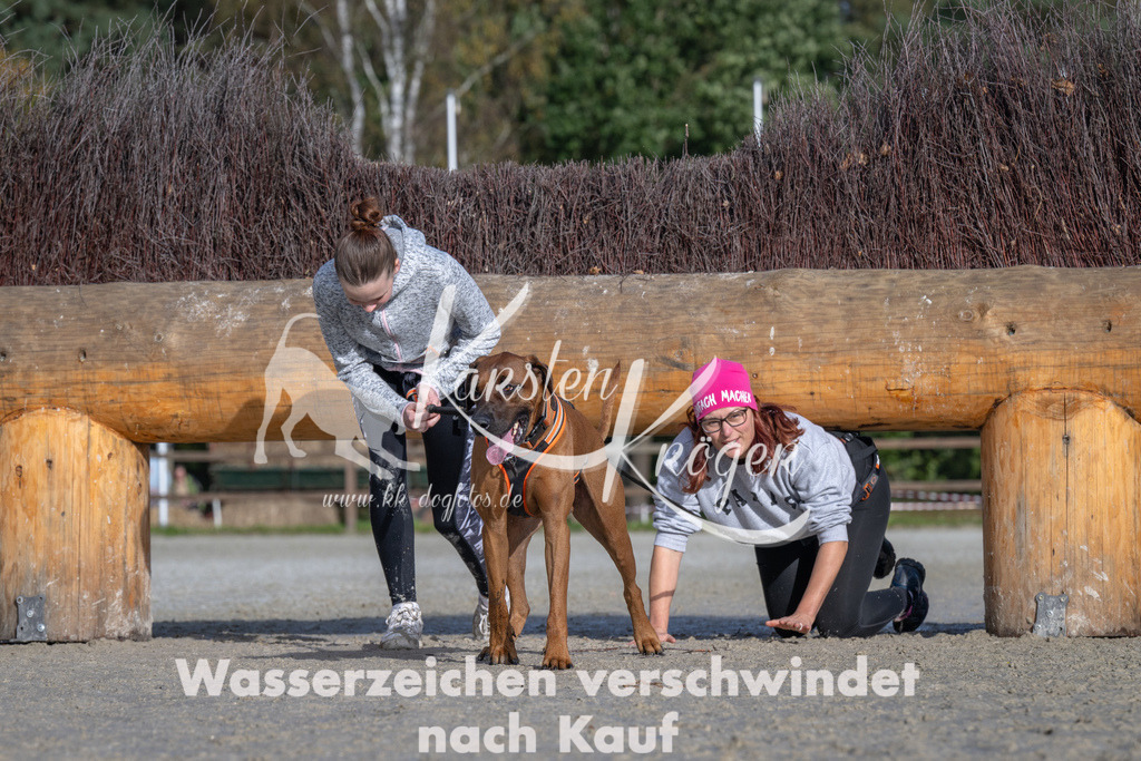 1113-93885 | kk-dogfotos