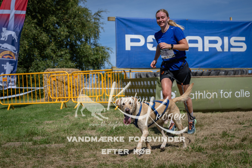 1349_ZZ99445 | kk-dogfotos