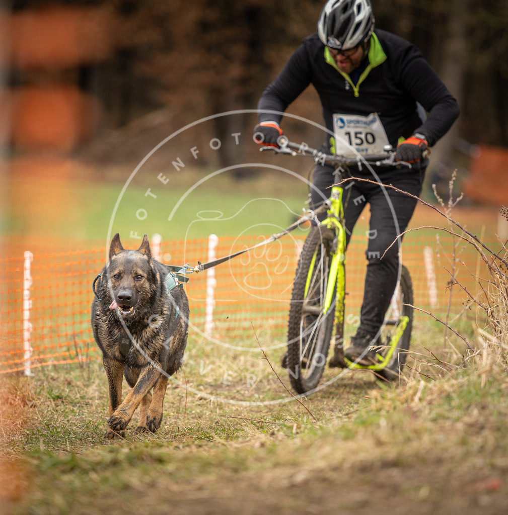 DV3A1612 | Hundefotografie, Tierfotograf, Pfotenfotografie, Fotoshooting Hund, Hunde Portrait, Hundesport, Hundeportraits, Heideshooting, Hunde, Sportfotograf, Hundefotograf, Turnierhundsport, THS,  - Realisiert mit Pictrs.com