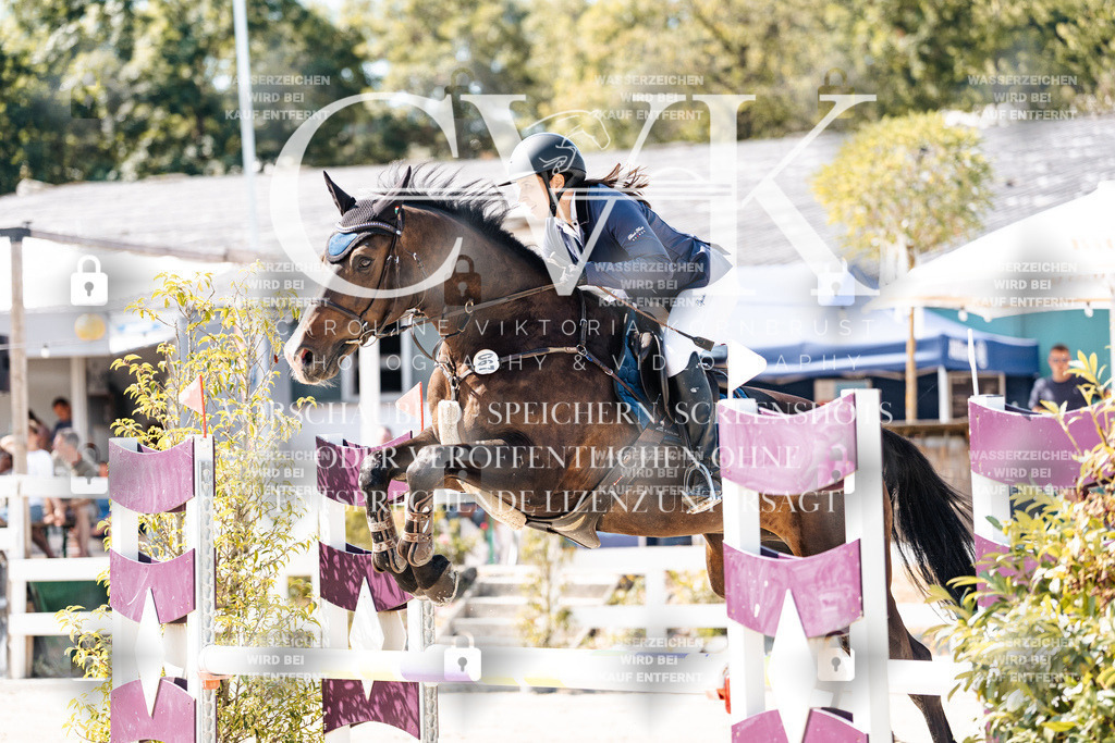 CK908708 | Turnierfotografie Pferdefotografie Trier Rheinland-Pfalz Pferdesport Reitsport Tierfotografie Sportfotografie Pferdevideo Pferdevideografie Equestrianvideography equestrianphotography  - Realisiert mit Pictrs.com