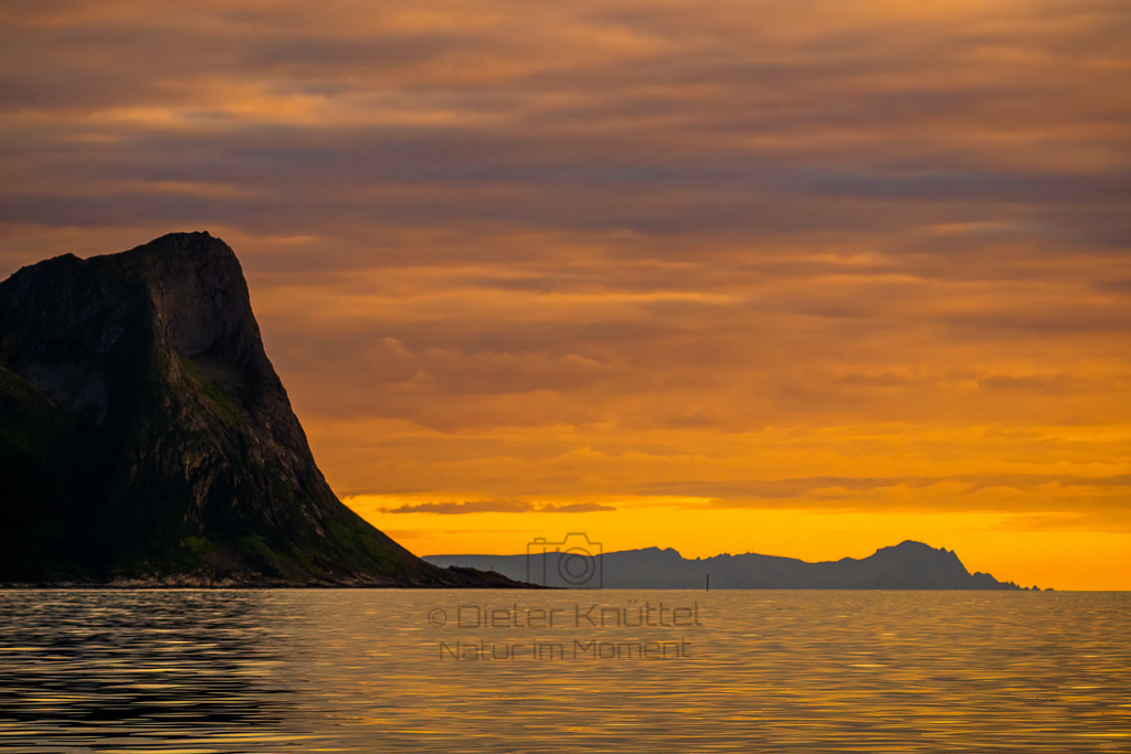 P1003983-Bearbeitet-2022-2-LR | Natur im Moment - Realisiert mit Pictrs.com